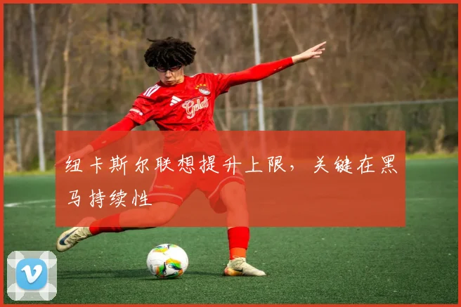 纽卡斯尔联想提升上限，关键在黑马持续性